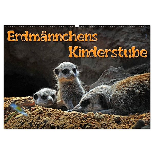 Erdmännchens Kinderstube (Wandkalender 2024 DIN A2 quer), CALVENDO Monatskalender, Ingo Laue