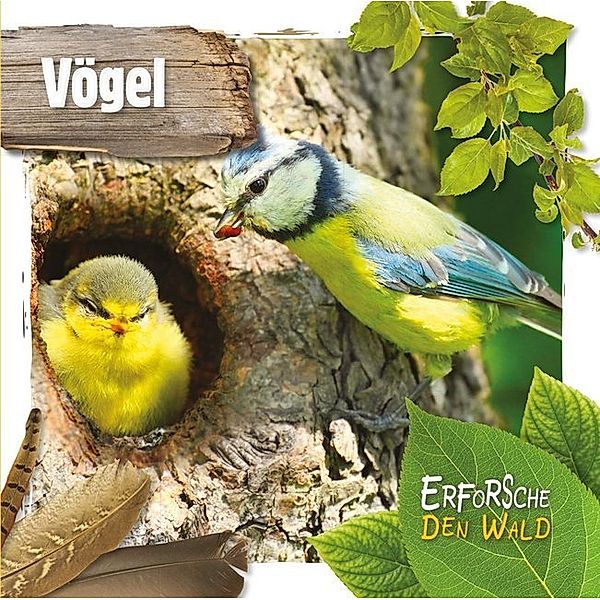 Erforsche den Wald / Vögel, Robin Twiddy