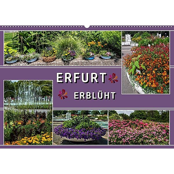 Erfurt erblüht (Wandkalender 2023 DIN A2 quer), Elke & Hermann Koch