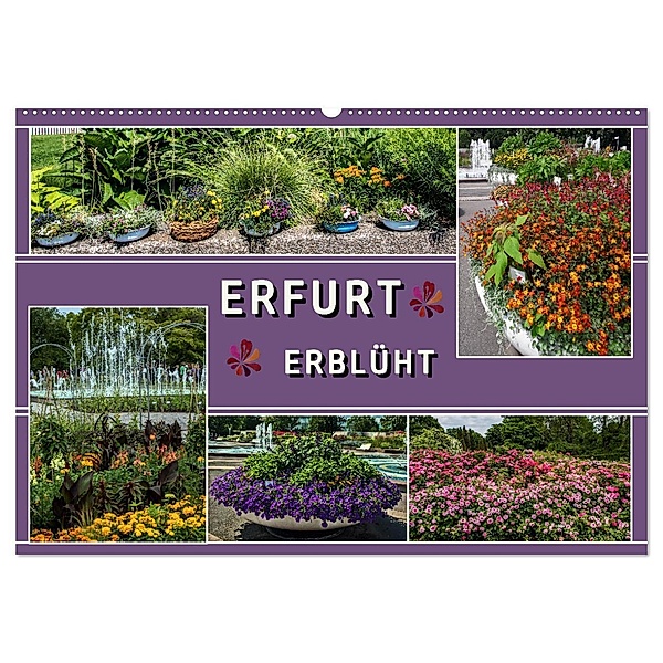 Erfurt erblüht (Wandkalender 2024 DIN A2 quer), CALVENDO Monatskalender, Elke & Hermann Koch