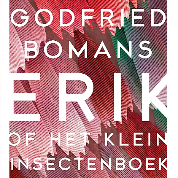 Erik of Het klein insectenboek, Godfried Bomans