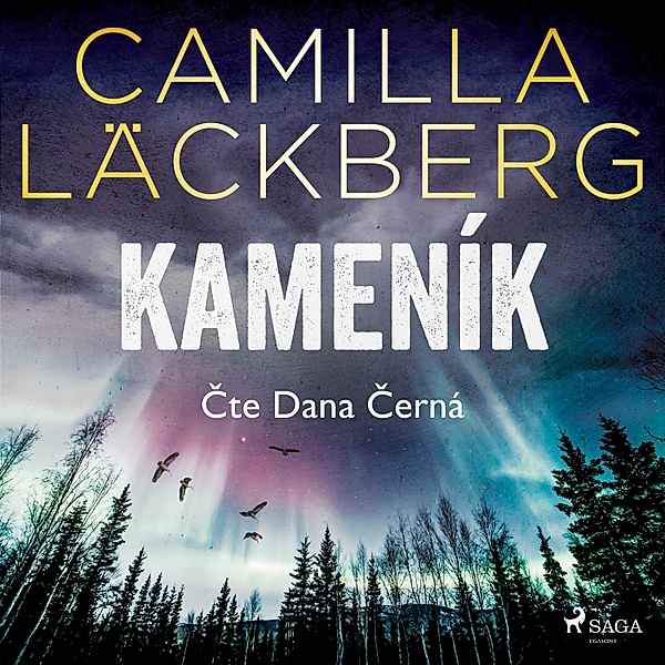 Erika Falcková & Patrik Hedström - 3 - Kameník, Camilla Läckberg