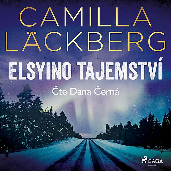 Erika Falcková & Patrik Hedström - 5 - Elsyino tajemství, Camilla Läckberg