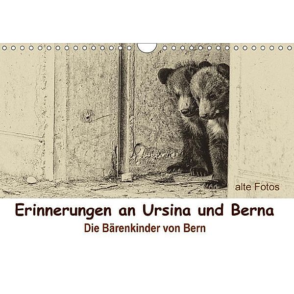 Erinnerungen an Ursina und Berna. Die Bärenkinder von Bern. Alte Fotos (Wandkalender 2017 DIN A4 quer), Susan Michel / CH