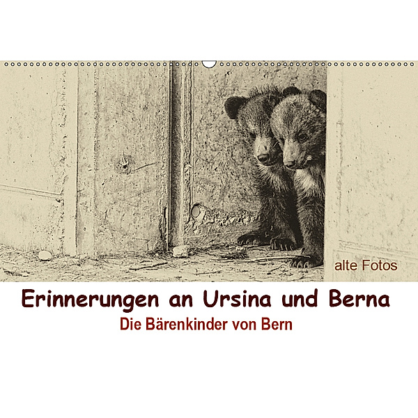 Erinnerungen an Ursina und Berna. Die Bärenkinder von Bern. Alte Fotos (Wandkalender 2019 DIN A2 quer), Susan Michel / CH