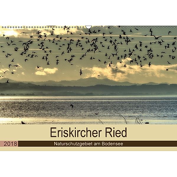 Eriskircher Ried - Naturschutzgebiet am Bodensee (Wandkalender 2018 DIN A2 quer), Sabine Brinker