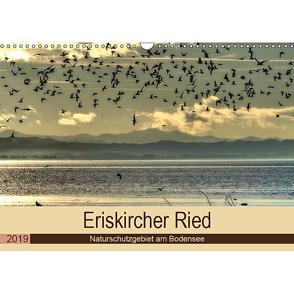 Eriskircher Ried - Naturschutzgebiet am Bodensee (Wandkalender 2019 DIN A3 quer), Sabine Brinker