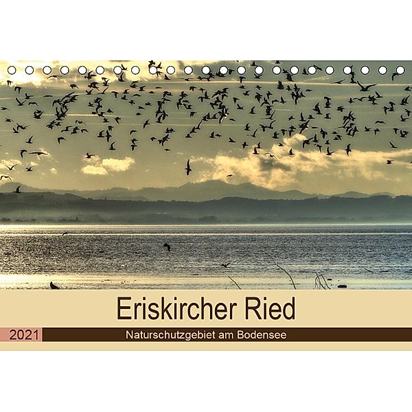 Eriskircher Ried - Naturschutzgebiet am Bodensee (Tischkalender 2021 DIN A5 quer), Sabine Brinker