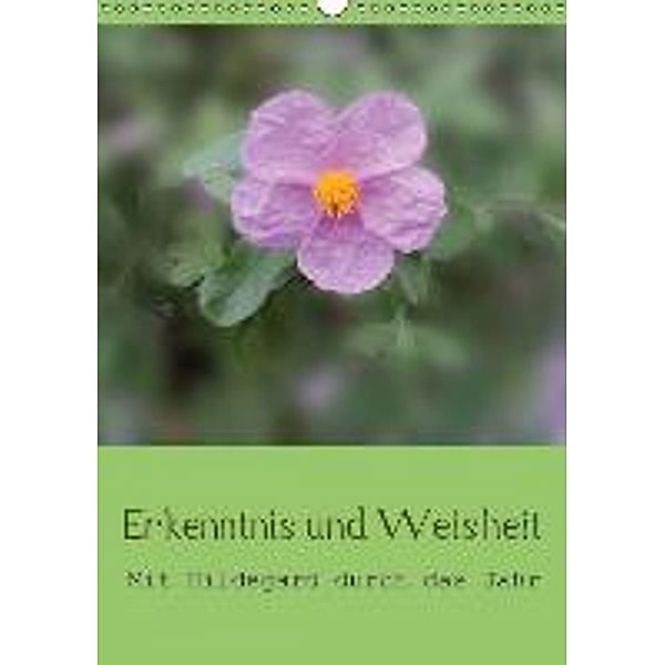 Erkenntnis und Weisheit - Hildegard von Bingen (Wandkalender 2015 DIN A3 hoch), Christine Bergmann