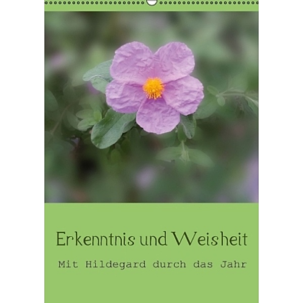 Erkenntnis und Weisheit - Hildegard von Bingen (Wandkalender 2016 DIN A2 hoch), Christine Bergmann