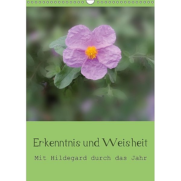 Erkenntnis und Weisheit - Hildegard von Bingen (Wandkalender 2018 DIN A3 hoch), Christine Bergmann