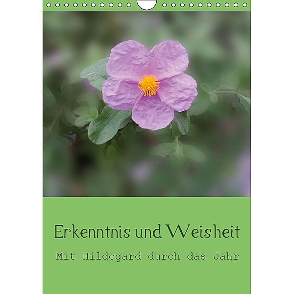 Erkenntnis und Weisheit - Hildegard von Bingen (Wandkalender 2019 DIN A4 hoch), Christine Bergmann