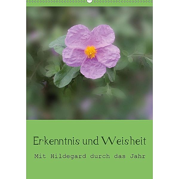 Erkenntnis und Weisheit - Hildegard von Bingen (Wandkalender 2020 DIN A2 hoch), Christine Bergmann