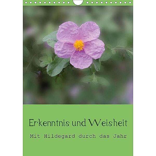 Erkenntnis und Weisheit - Hildegard von Bingen (Wandkalender 2021 DIN A4 hoch), Christine Bergmann