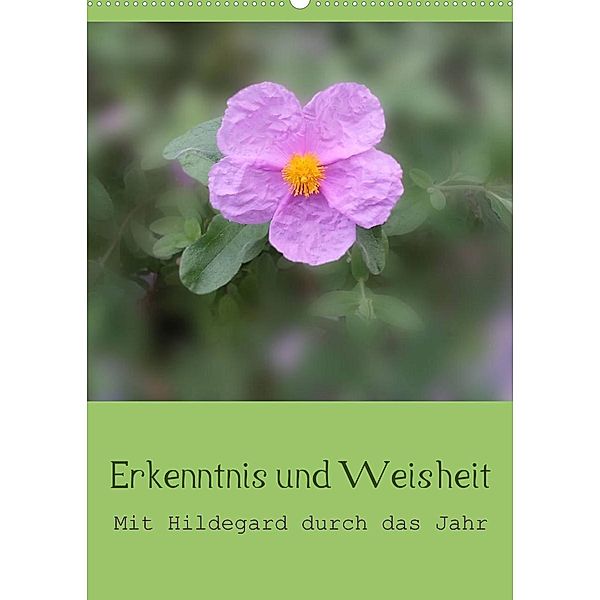 Erkenntnis und Weisheit - Hildegard von Bingen (Wandkalender 2023 DIN A2 hoch), Christine Bergmann