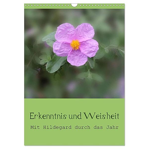 Erkenntnis und Weisheit - Hildegard von Bingen (Wandkalender 2024 DIN A3 hoch), CALVENDO Monatskalender, Christine Bergmann