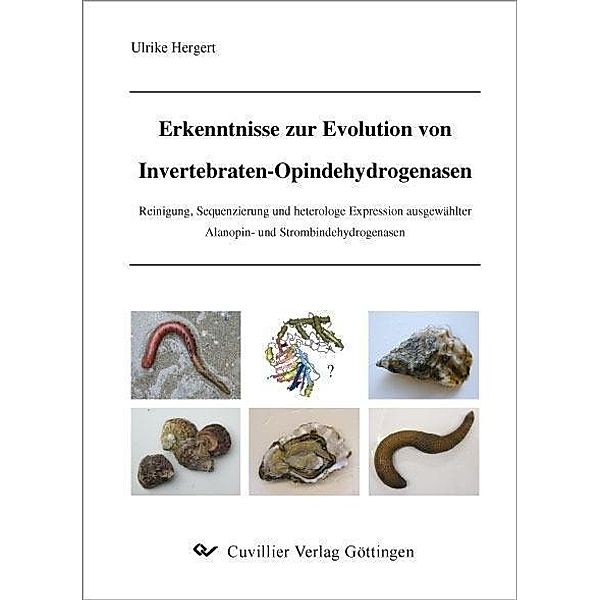 Erkenntnisse zur Evolution von Invertebraten-Opindehydrogenasen