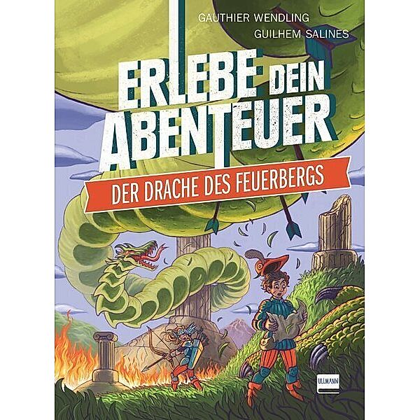 Erlebe dein Abenteuer / Der Drache des Feuerbergs (Rätselabenteuer für Kinder ab 8 Jahren, Spielebuch, stundenlanger Rätselspaß)), Gauthier Wendling