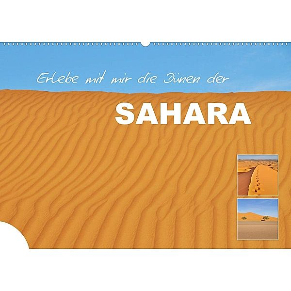 Erlebe mit mir die Dünen der Sahara (Wandkalender 2023 DIN A2 quer), Nadine Büscher