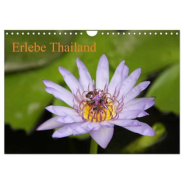 Erlebe Thailand (Wandkalender 2024 DIN A4 quer), CALVENDO Monatskalender, Pia Sophie und Thomas Völcker