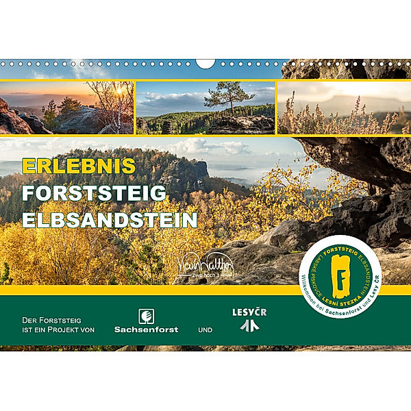 Erlebnis Forststeig Elbsandstein (Wandkalender 2023 DIN A3 quer), Kevin Walther