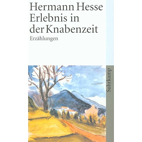 Erlebnis in der Knabenzeit, Hermann Hesse