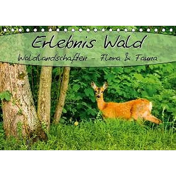 Erlebnis Wald (Tischkalender 2016 DIN A5 quer), Marcel Wenk