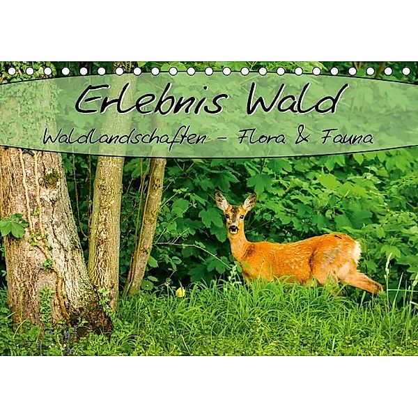 Erlebnis Wald (Tischkalender 2017 DIN A5 quer), Marcel Wenk