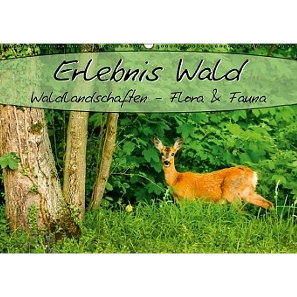 Erlebnis Wald (Wandkalender 2015 DIN A2 quer), Marcel Wenk
