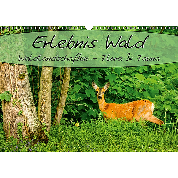 Erlebnis Wald (Wandkalender 2019 DIN A3 quer), Marcel Wenk