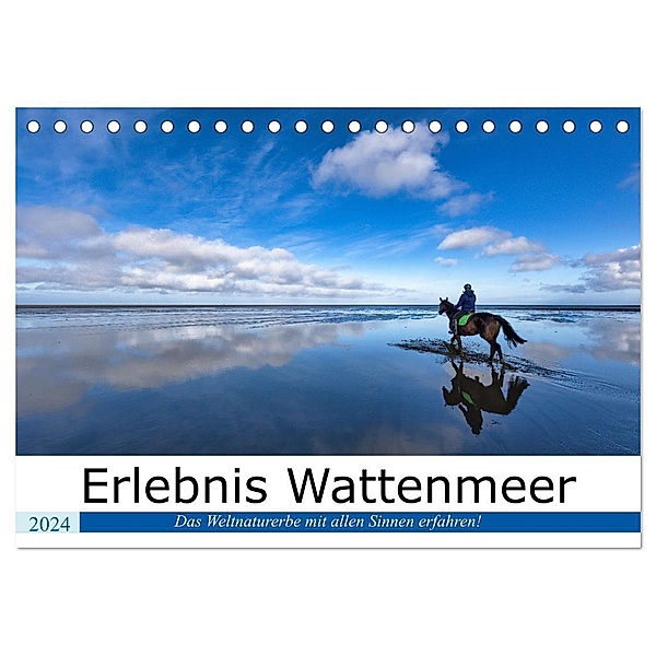 Erlebnis Wattenmeer (Tischkalender 2024 DIN A5 quer), CALVENDO Monatskalender, Andreas Klesse