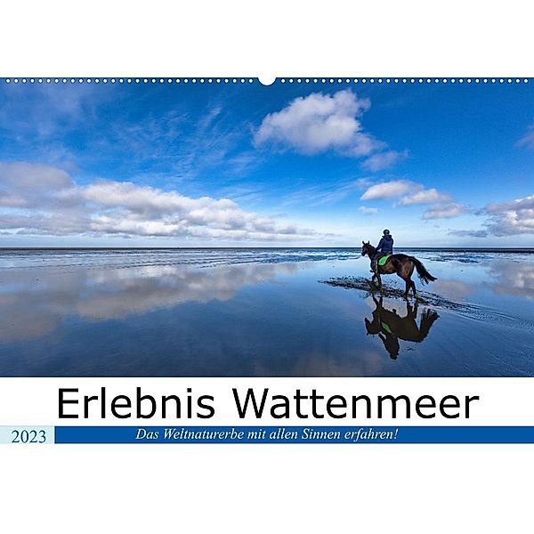 Erlebnis Wattenmeer (Wandkalender 2023 DIN A2 quer), Andreas Klesse