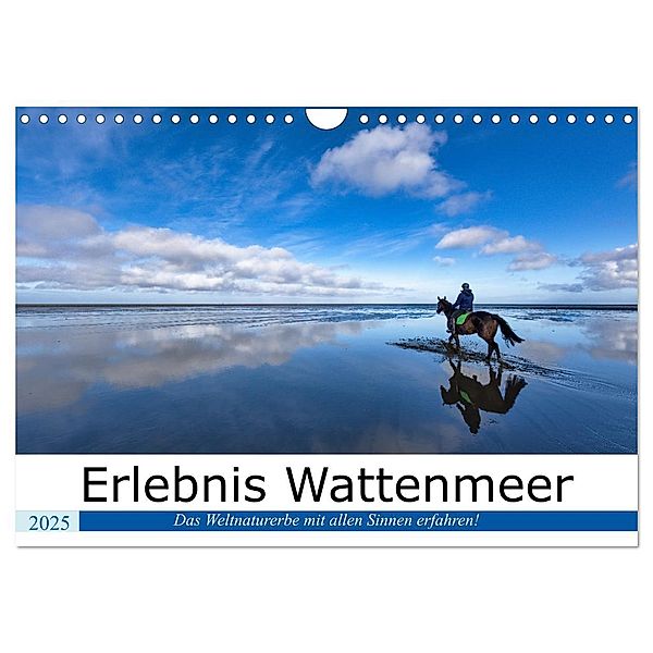 Erlebnis Wattenmeer (Wandkalender 2025 DIN A4 quer), CALVENDO Monatskalender, Calvendo, Andreas Klesse