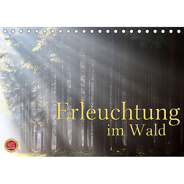 Erleuchtung im Wald (Tischkalender 2019 DIN A5 quer), Martina Cross