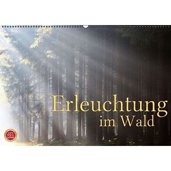 Erleuchtung im Wald (Wandkalender 2016 DIN A2 quer), Martina Cross