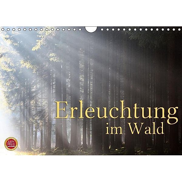 Erleuchtung im Wald (Wandkalender 2017 DIN A4 quer), Martina Cross