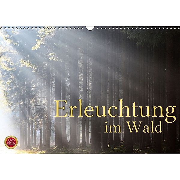 Erleuchtung im Wald (Wandkalender 2018 DIN A3 quer), Martina Cross