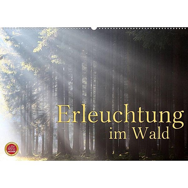 Erleuchtung im Wald (Wandkalender 2023 DIN A2 quer), Martina Cross