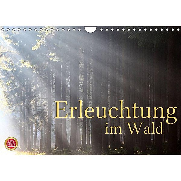 Erleuchtung im Wald (Wandkalender 2023 DIN A4 quer), Martina Cross