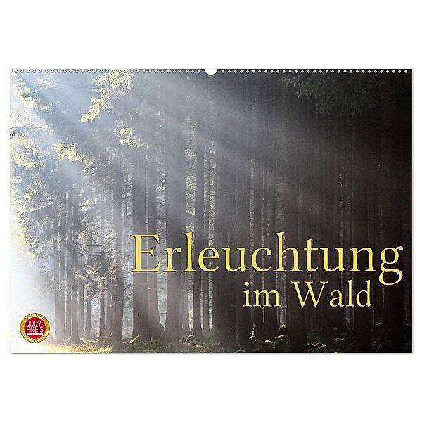 Erleuchtung im Wald (Wandkalender 2024 DIN A2 quer), CALVENDO Monatskalender, Martina Cross