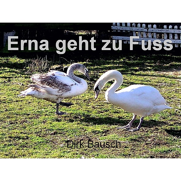 Erna geht zu Fuss, Dirk Bausch