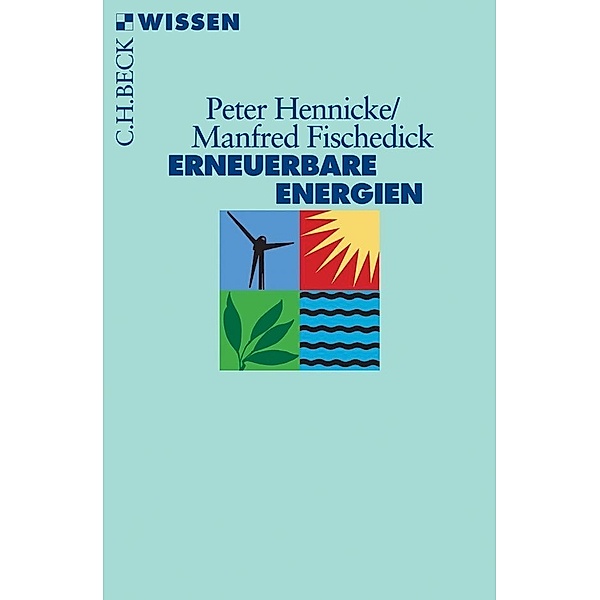 Erneuerbare Energien, Peter Hennicke, Manfred Fischedick