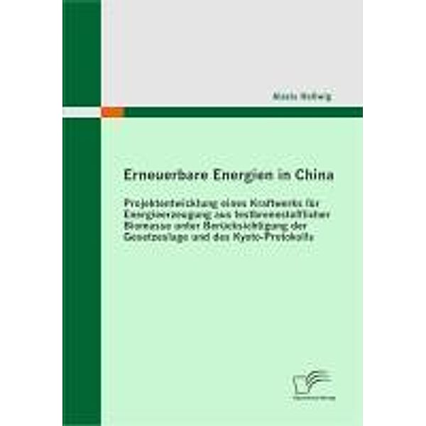Erneuerbare Energien in China: Projektentwicklung eines Kraftwerks für Energieerzeugung aus festbrennstofflicher Biomasse unter Berücksichtigung der Gesetzeslage und des Kyoto-Protokolls, Alexis Hellwig