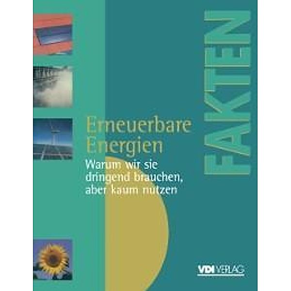 Erneuerbare Energien / VDI-Buch