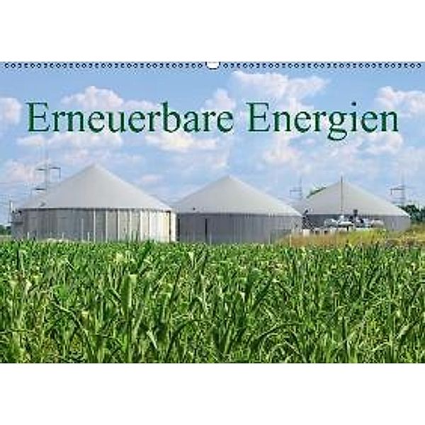 Erneuerbare Energien (Wandkalender 2015 DIN A2 quer), LianeM