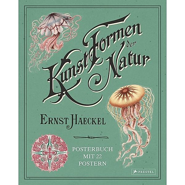 Ernst Haeckel: Kunstformen der Natur, Kira Uthoff