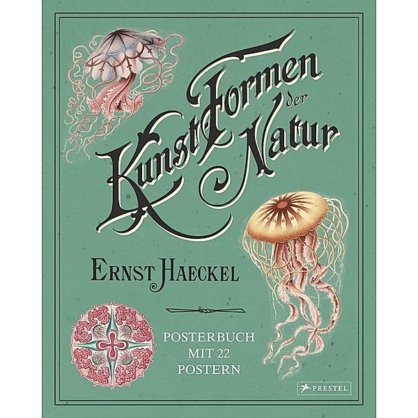 Ernst Haeckel: Kunstformen der Natur, Kira Uthoff