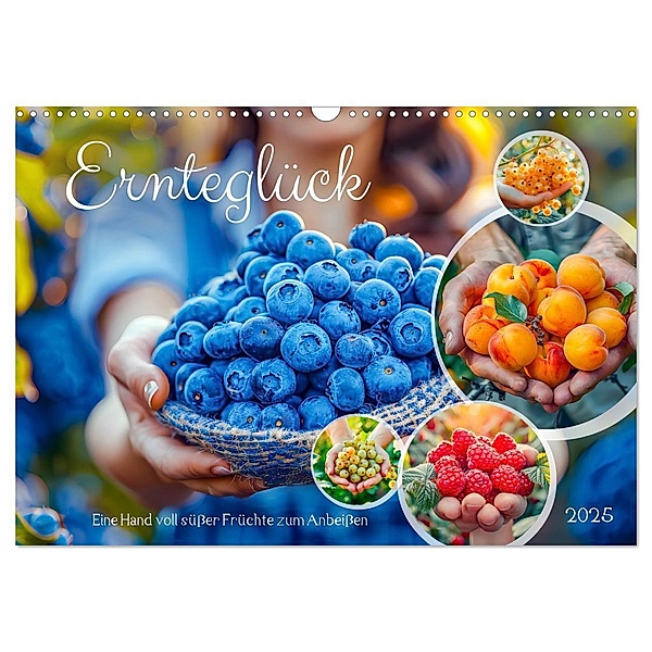 Ernteglück - Eine handvoll süßer Früchte zum Anbeißen (Wandkalender 2025 DIN A3 quer), CALVENDO Monatskalender, Calvendo, Anja Frost