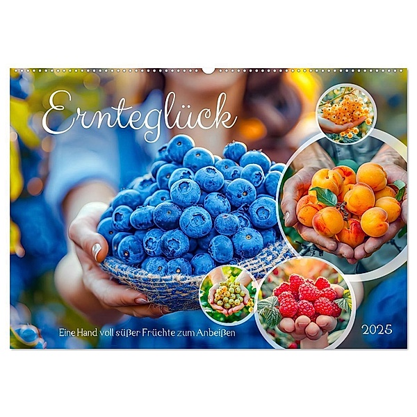 Ernteglück - Eine handvoll süßer Früchte zum Anbeißen (Wandkalender 2025 DIN A2 quer), CALVENDO Monatskalender, Calvendo, Anja Frost