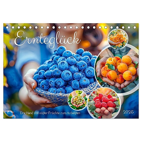 Ernteglück - Eine handvoll süßer Früchte zum Anbeißen (Tischkalender 2025 DIN A5 quer), CALVENDO Monatskalender, Calvendo, Anja Frost